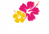 BartusDora_logo-RGB-01 ÚJ FEHÉR (1)
